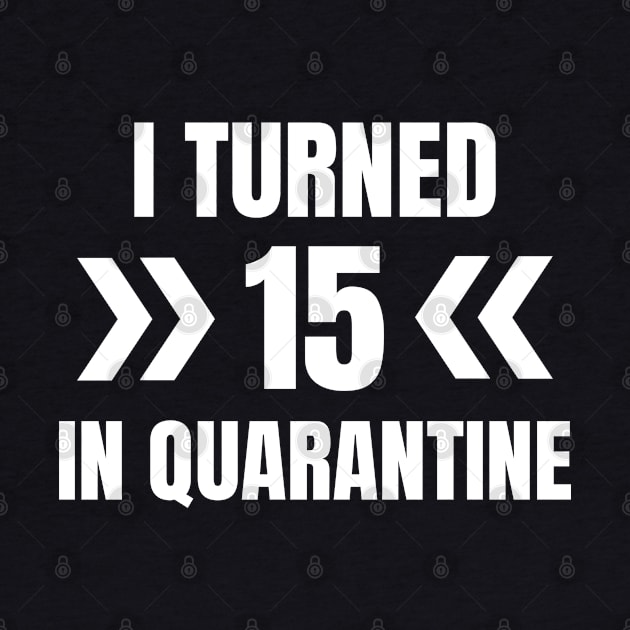 I Turned 15 In Quarantine by LunaMay